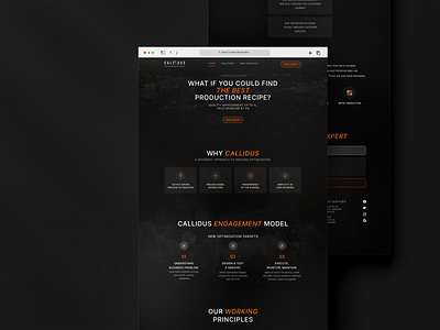 Landing Page for CALLIDUS