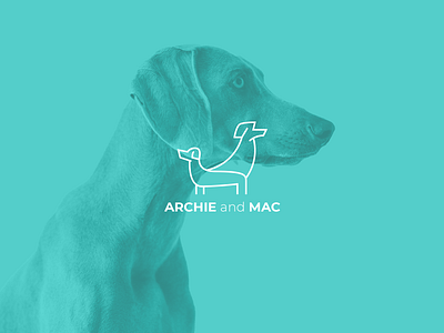 Minimalistic logo concept for a dog treats company branding design dog graphic graphic design graphicdesign logo vector
