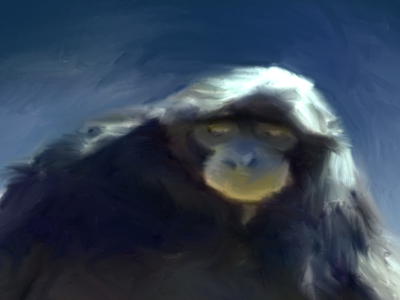 chimp digital ipad painting portrait procreate