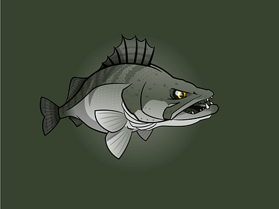 Red River Zander fish fishing illustration zander