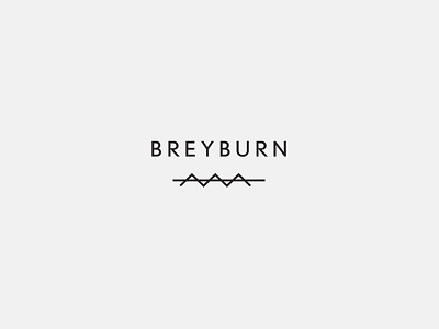 Breyburn Logo branding identity logo
