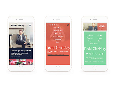 Todd Chrisley Site Design mobile navigation ui