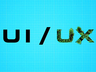 UI / UX graphic design ui
