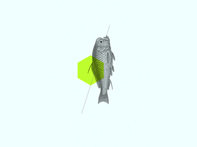 Collage collage fish polygons