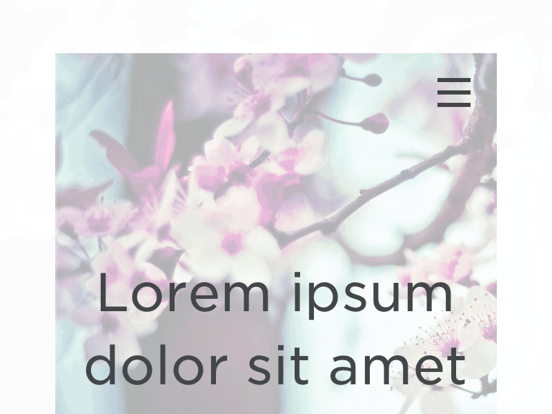 Nav Animation mobile nav ios web design responsive hamburger menu