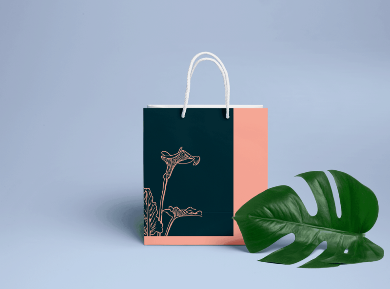 Branding - Sustainable Bags by Paloma on Dribbble