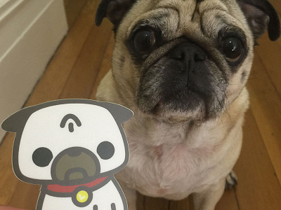 Leica the Pug Sticker IRL pug sticker vector