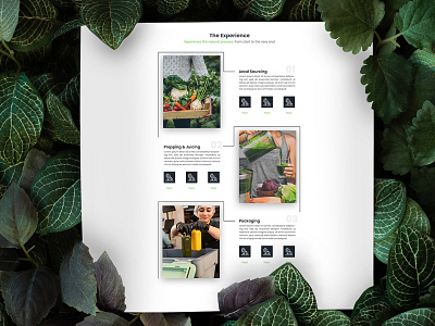 The process of Green Juice branding clean custom web design design healthy juice juicing landing page ui ux