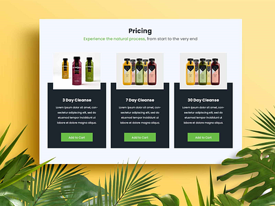 Green Jucie Pricing Page branding clean custom web design design health and fitness healthy illustration juice juicing typography ui ux vector website