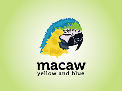 yellow and blue macaw