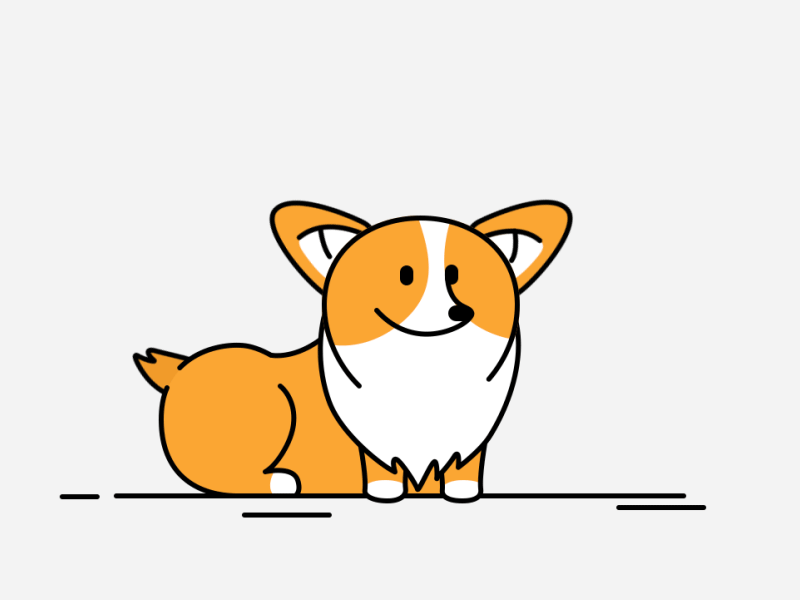 Corgi love bones ae aniamtion design illustration