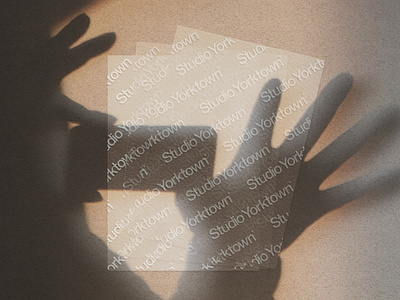 Vellum Test branding branding and identity mockup mockup creator paper photoshop realistic shadow template vellum