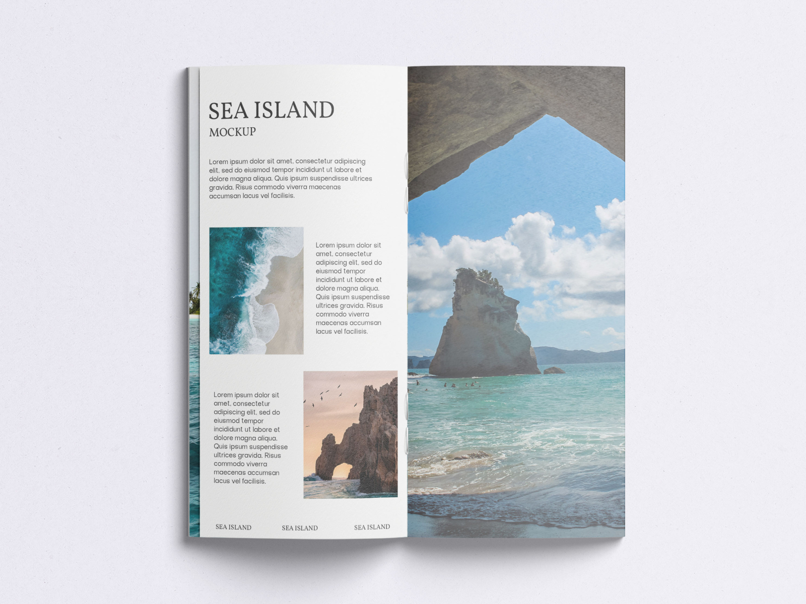 DL Magzine Mockup by scribrostudio on Dribbble