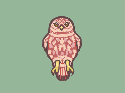 Owl animal bird birds design homedecor. kids logo mascot owl pastel procreate simple