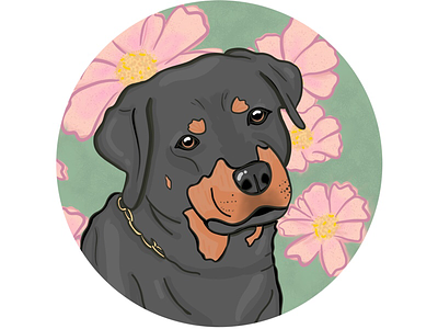 Rottweiler dog dogs flowers illustration pets procreate rottweiler