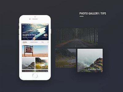 Photo Gallery | Tips cards case study guide minimal mobile profile travel ui ux web