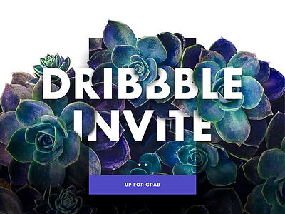 Two Dribbble Invite debut dribbble invite welcome