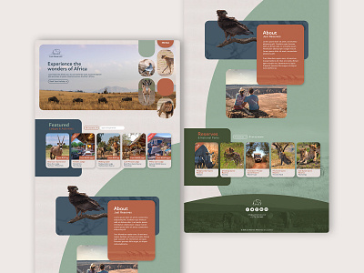 Wildlife Reserve Website design reserve safari web design website website concept wildlife