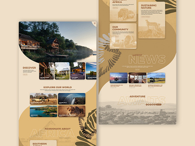 Safari Lodge Website design lodge safari vibrant web design website website concept
