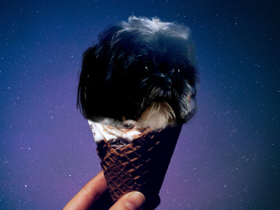 Harry Ice Cream dog ice cream intergalactic outer space photoshop puppy