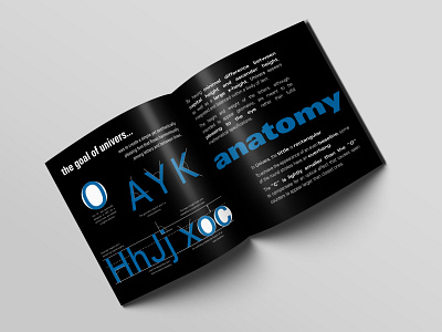 type specimen booklet design: inside page art booklet design flat illustrator minimal minimalist mockup typography vector