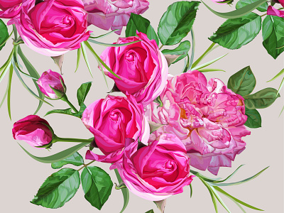 Pink Roses vector illustration