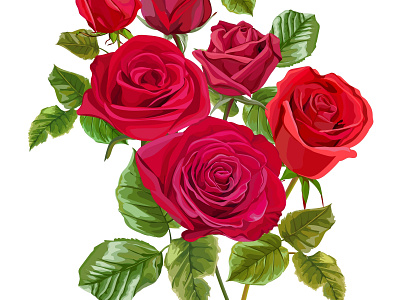 Red Rose Bouquet card design flower greeting invitation nature textile vector wallpapers
