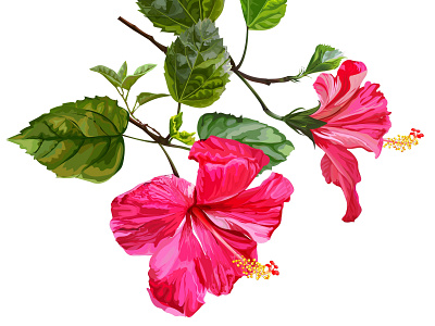 Hibiscus flower seamless vector illustration card flower greeting invitation nature vector wallpapers