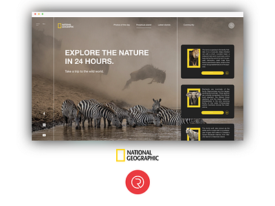 National geographic web concept design