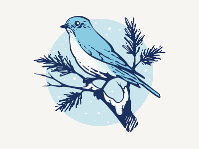 Bluebird animal bird blue bluebird drawing illustration nature vignette winter
