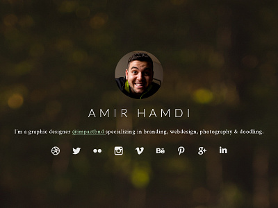 Personal Site Snippet icons minimal personal photo social webdesign website