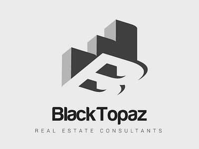 Black Topaz realestate logo branding