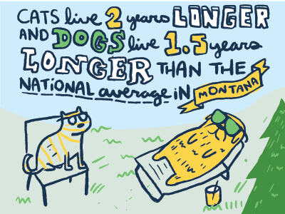 Montana Facts by Josh Quick cats dogs illustration joshquick montana quickjosh