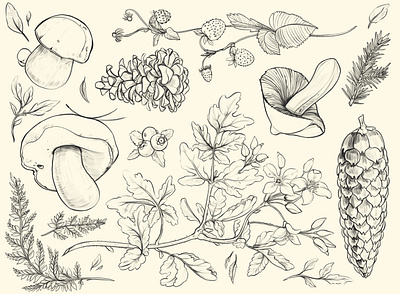 From the forest design digital digital art drawing forest illustration mushrooms nature plant procreate