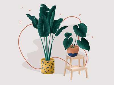 Illustration Indoor plants for "Дарьин Сад" drawing illustration plants