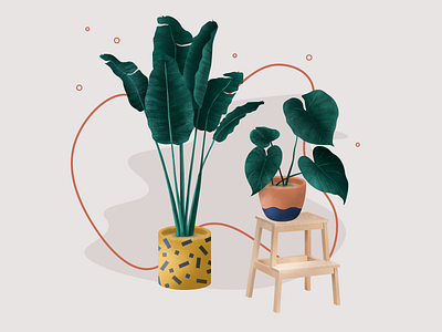 Illustration Indoor plants for "Дарьин Сад"