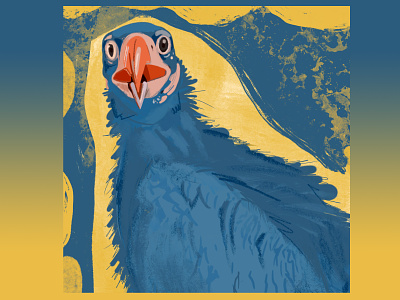 cinereous vulture in blue adobe illustrator bird bird of prey blue cinereous vulture digital illustration digital painting illustration illustrator ipad procreate procreate art vulture yellow