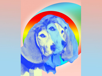Samu's Coming Out adobe photoshop basset basset hound blue design dog dog art gradient gradient background hound dog multiply photoshop pink woof