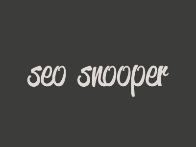 SEO Snooper custom hand handwritten lettering logo marketing seo snooper stats type typography
