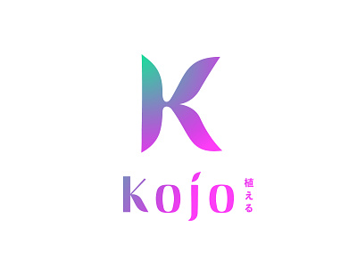 Kojo Enzyme branding brand design branding design logo logo design logotype vector