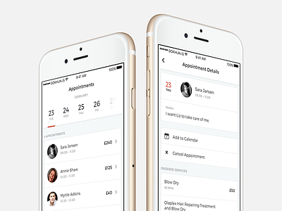 Appointments application appointment calendar design ios iphone list mobile price ui ux white