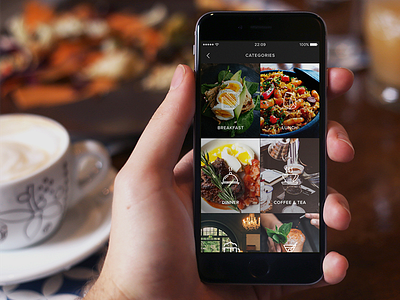 Restaurant Categories app categories directory food guide index iphone lifestyle mobile restaurant ui ux