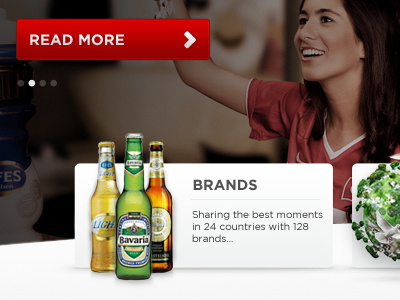 EFESGROUP - Homepage beer web webdesign