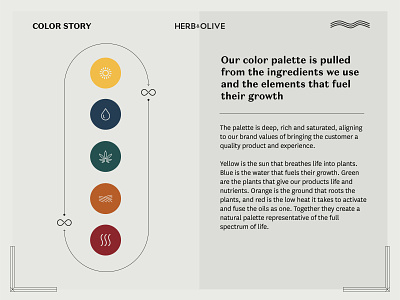 Herb & Olive Color Story branding cbd cbdoil color color palette color story colors meditkit story storytelling