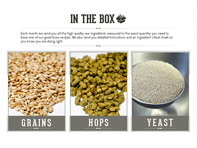 Inthebox beer box brewing flat home brew hops illustrator photos type