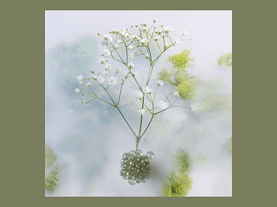 January Deams 3d floral flower fog glass moss photography render surreal