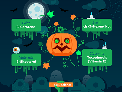 Chemistry of pumpkin — Happy Halloween