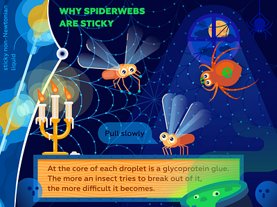 Why spiderwebs are sticky cadle ghost halloween illustration night science spider vector web