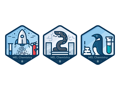 Badges for chemistry experiments 3 animal badge chemistry icon penguin rocket science snake sticker tube vector