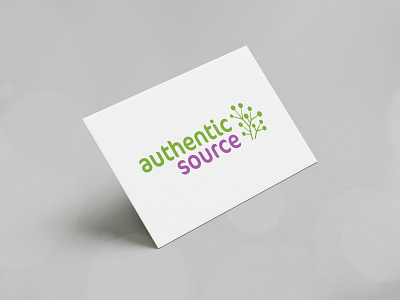 Authentic Source brand identity branding business corporate design logo modern